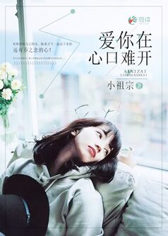爱你在心口难开【完本】