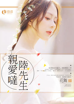 亲爱哒，陆先生【完本】